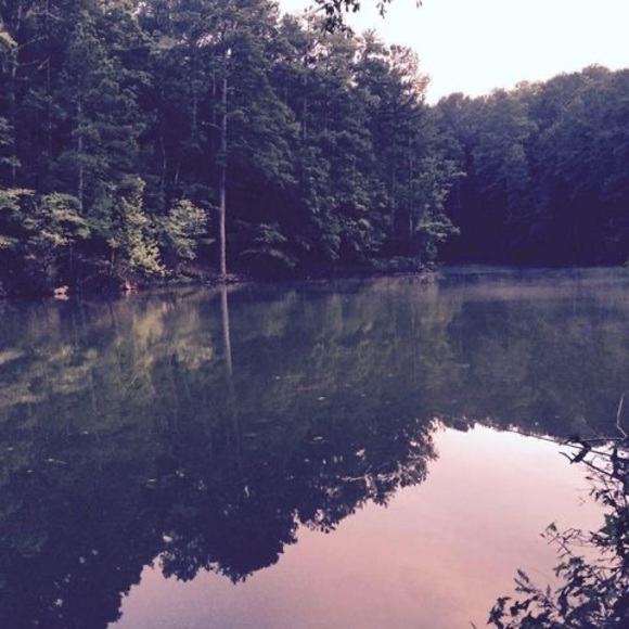 Meet your Posher, Keith - Picture 1 of 1